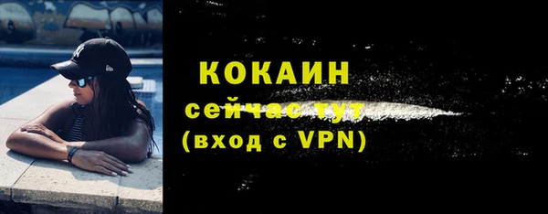 шишки Козловка