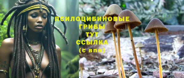 apvp Козельск