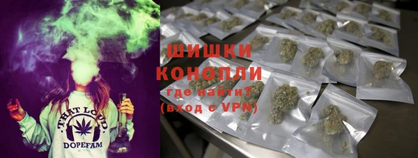 apvp Козельск