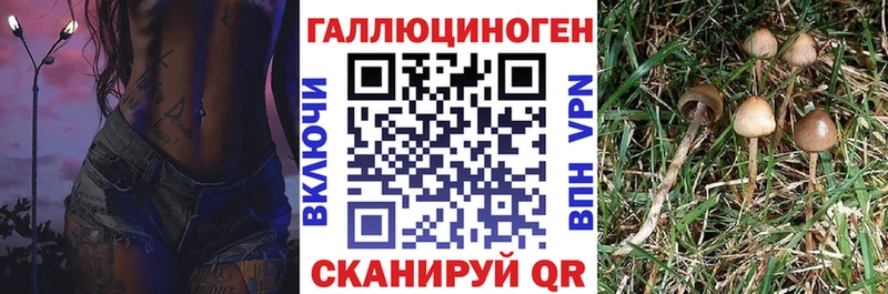Галлюциногенные грибы GOLDEN TEACHER  Купить где  Белоярский 